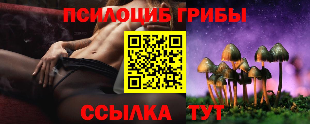 Лениногорск  закладка  Вход с VPN  Галлюциногенные грибы Magic Shrooms 